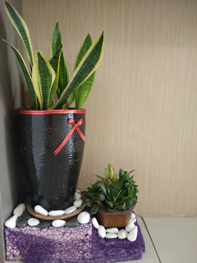 קוטה קינבלו Hotel Truly Asia מראה חיצוני תמונה